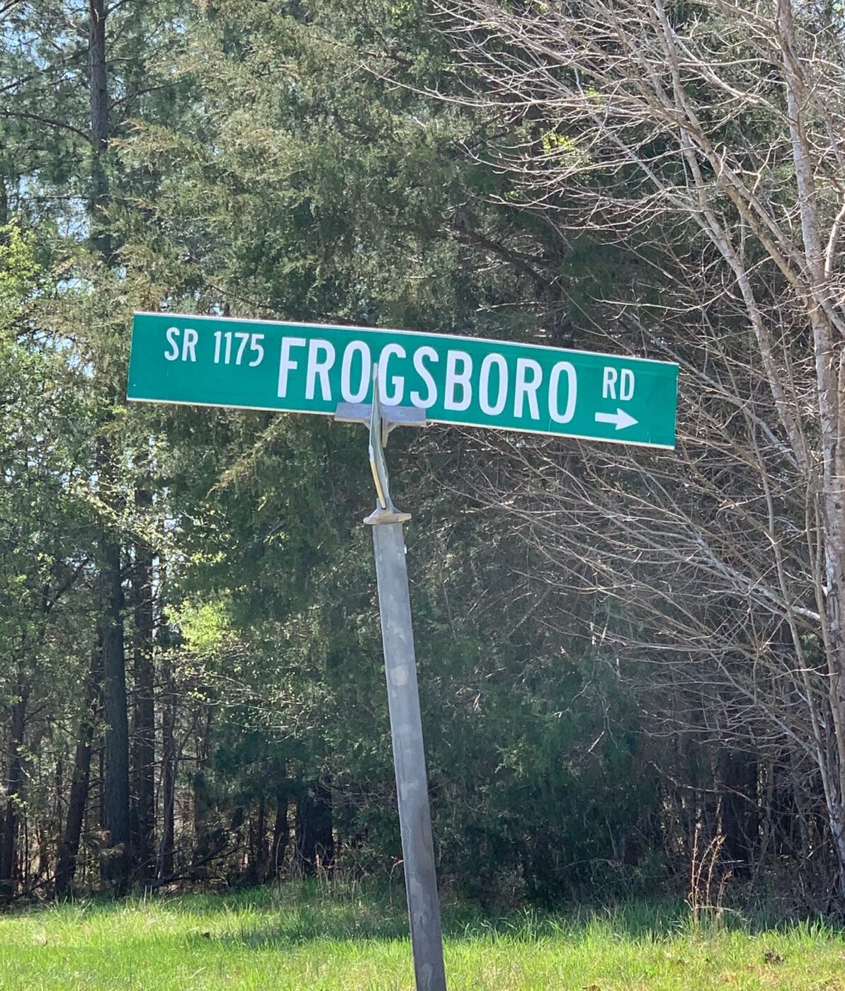 Frogsboro Road street sign in rural North Carolina